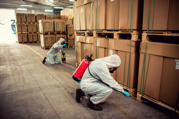 Best Exterminator Services  in Red Rock, AZ