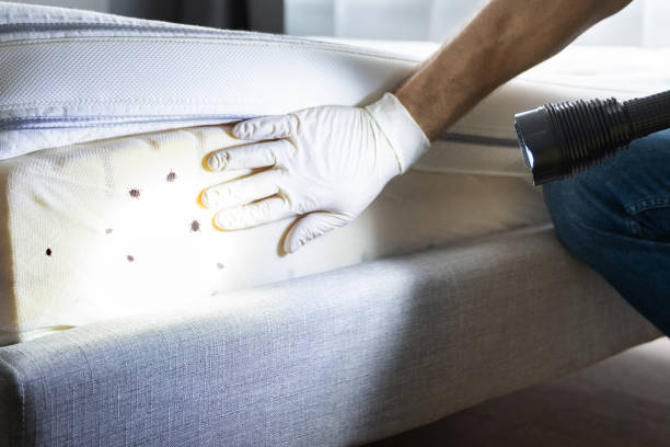 Red Rock, AZ Pest Control Company